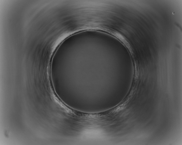 X0000100950958200806241500