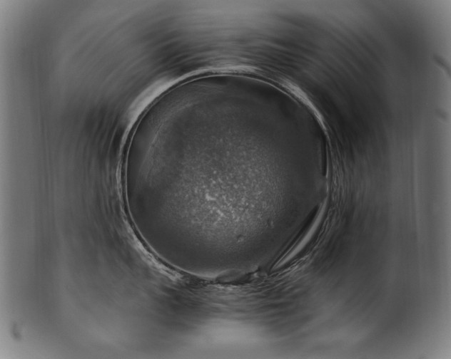 X0000100950959200806241500