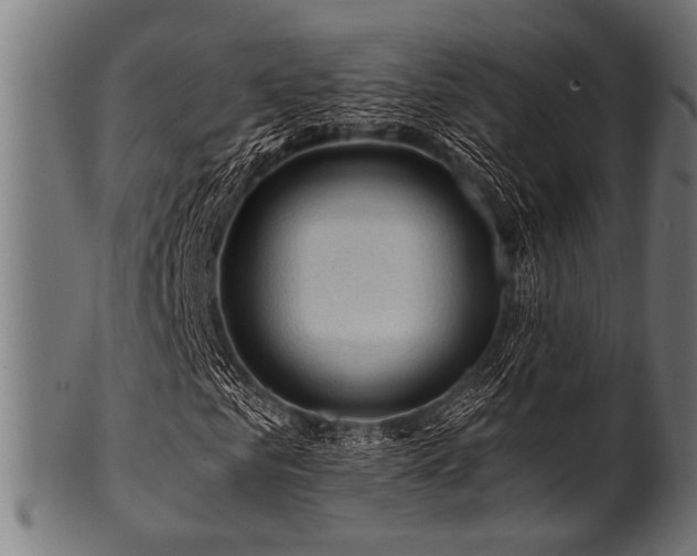 X0000100950961200806241459