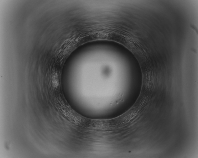 X0000100950962200806241459