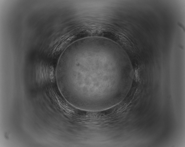 X0000100950963200806241459