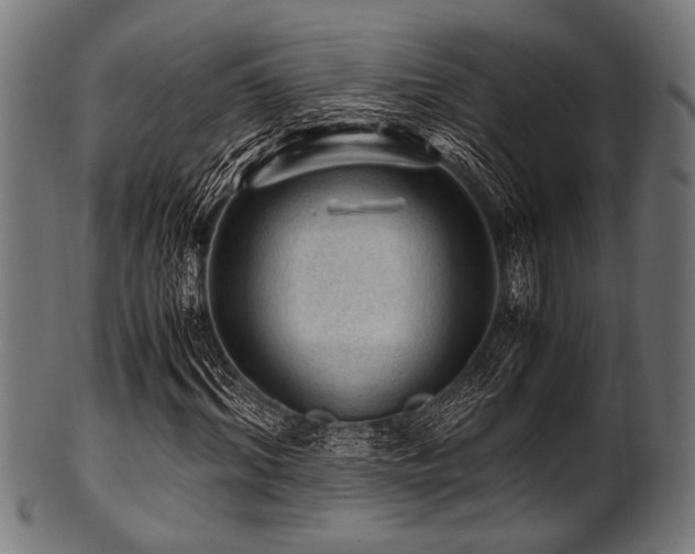 X0000100950964200806241459