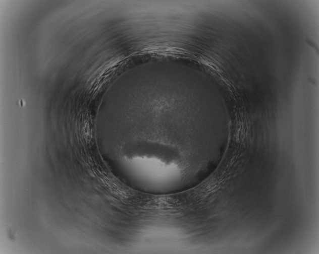 X0000100950966200806241459