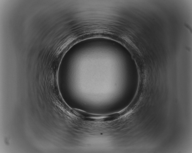 X0000100950969200806241459