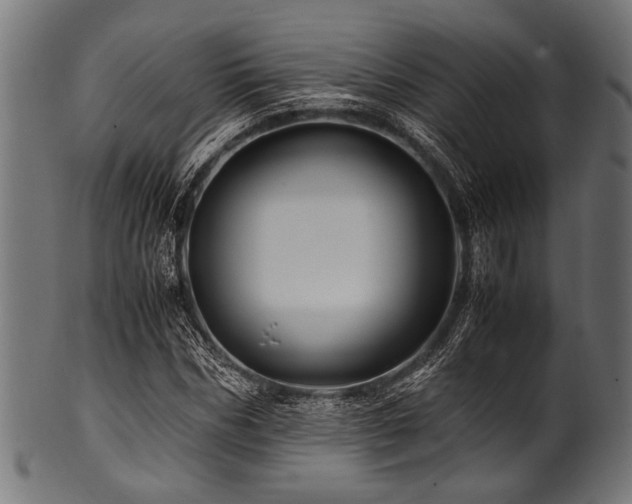 X0000100950970200806241459