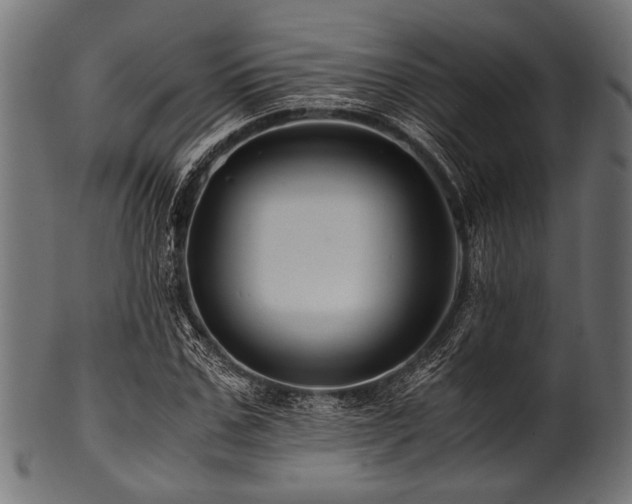 X0000100950971200806241459