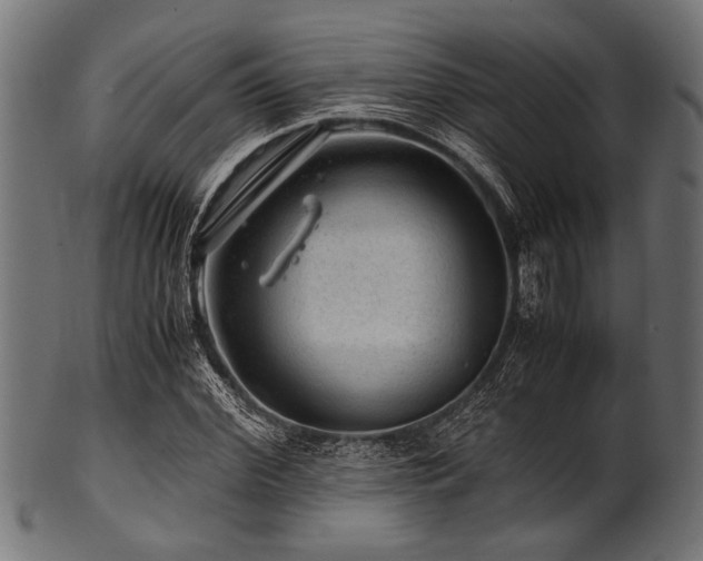 X0000100950972200806241459