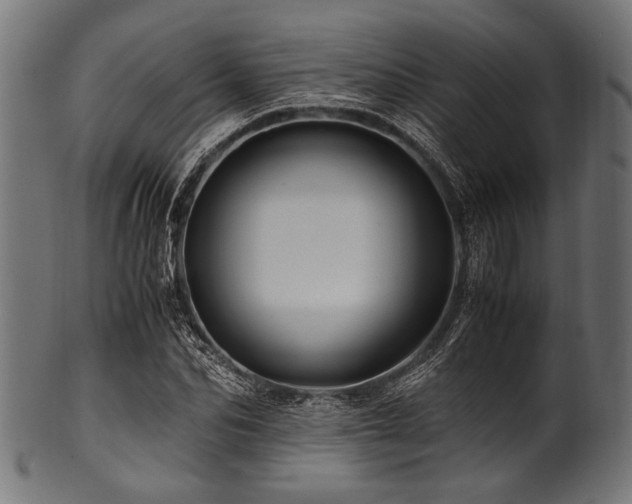 X0000100950974200806241459