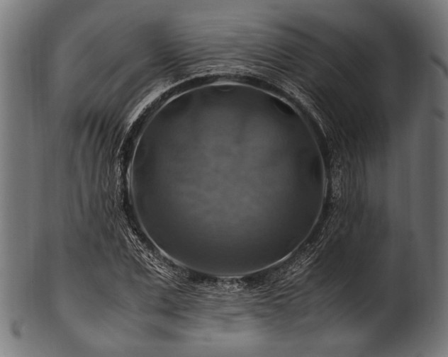 X0000100950975200806241459