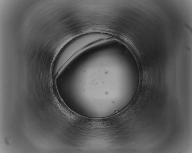 X0000100950976200806241459