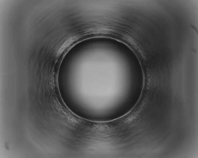 X0000100950978200806241459