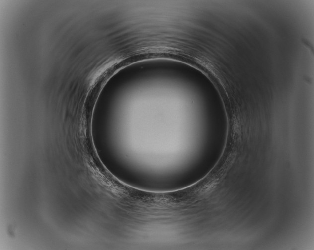 X0000100950979200806241459