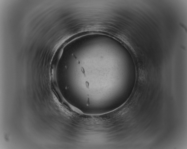 X0000100950980200806241459