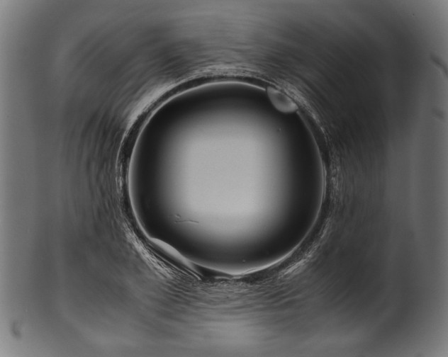 X0000100950981200806241459