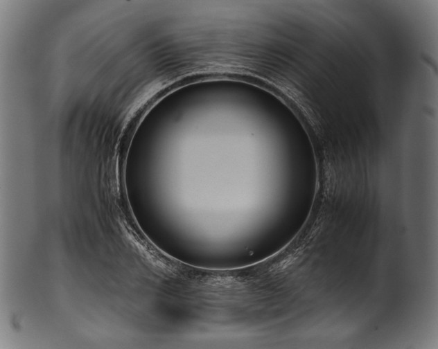 X0000100950982200806241459