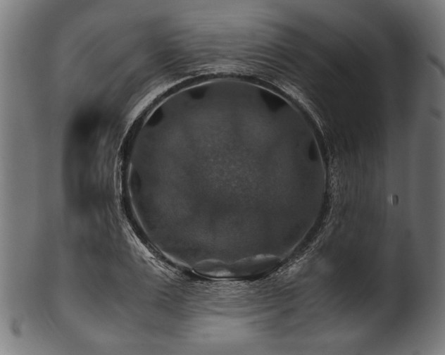 X0000100950983200806241459