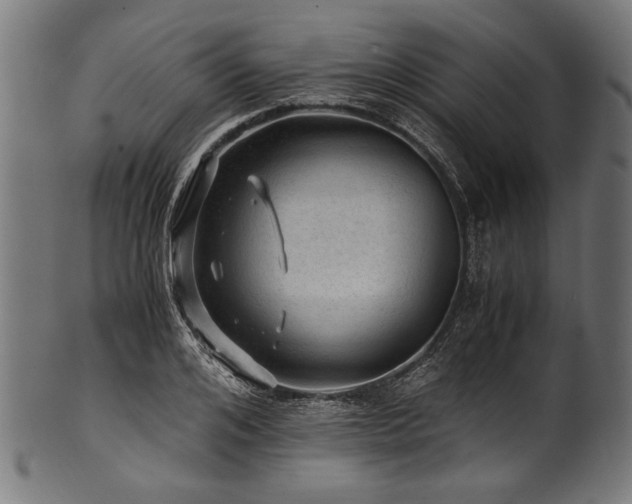 X0000100950984200806241459