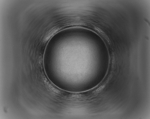 X0000100950985200806241459