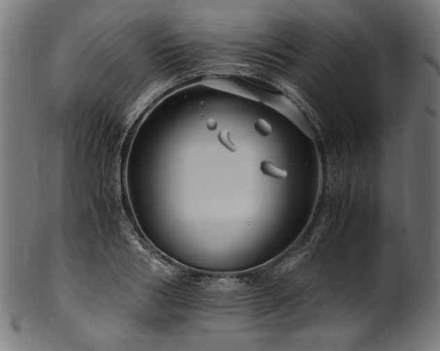 X0000100950986200806241459
