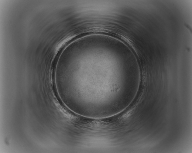 X0000100950987200806241459