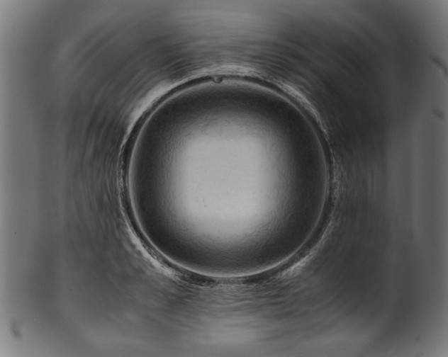 X0000100950989200806241459