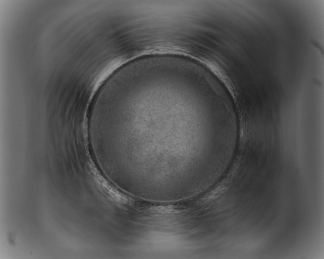 X0000100950990200806241459