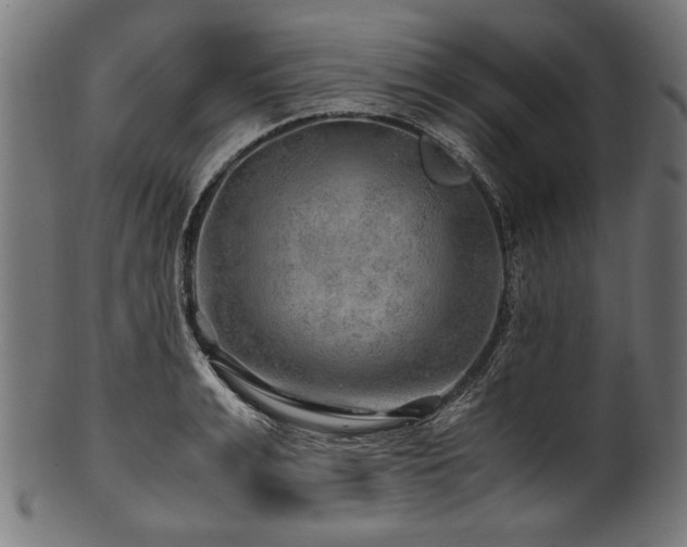 X0000100950991200806241459