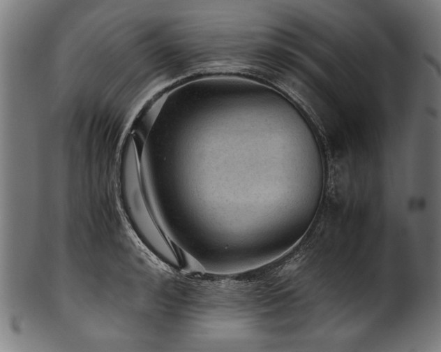 X0000100950992200806241459