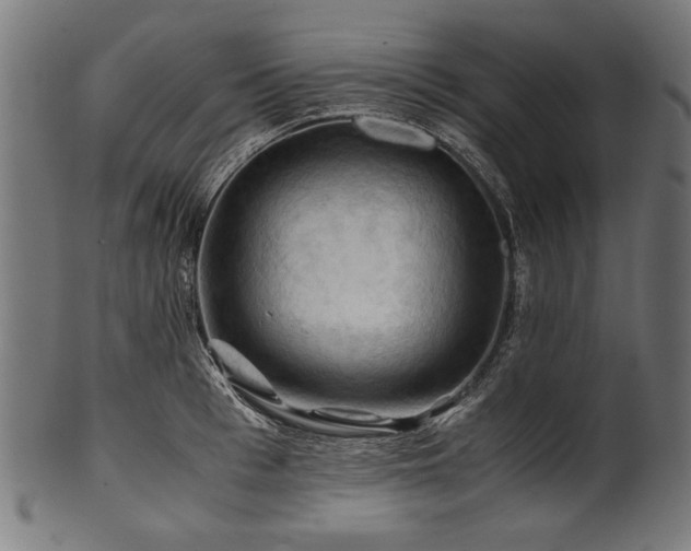 X0000100950993200806241459