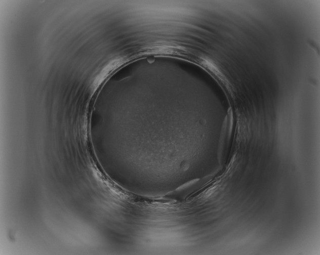 X0000100950994200806241459