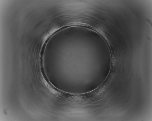 X0000100950995200806241459