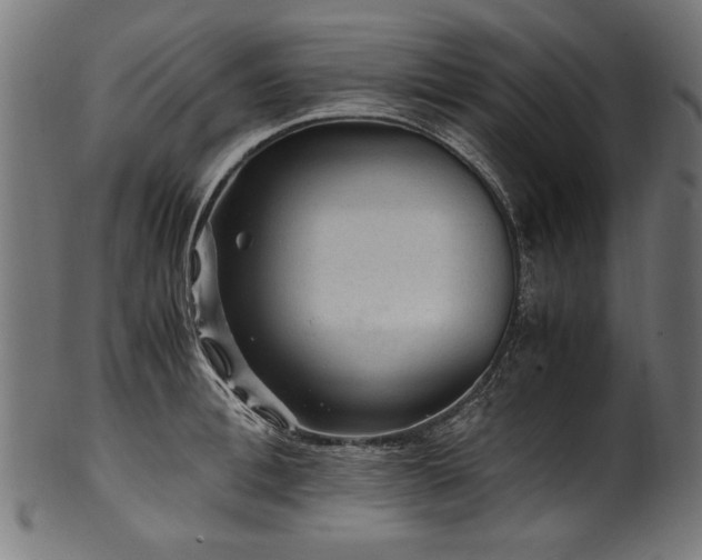 X0000100950996200806241459