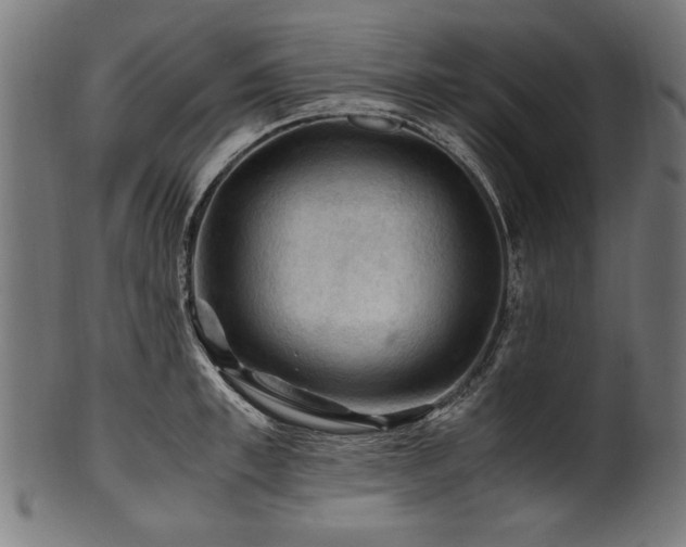 X0000100950997200806241459