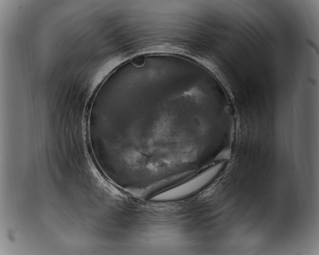 X0000100950998200806241459