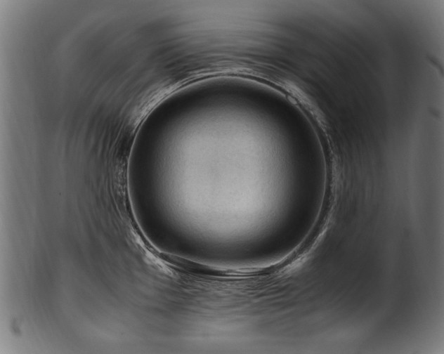 X0000100951001200806241459