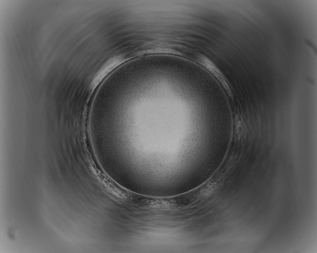X0000100951002200806241459