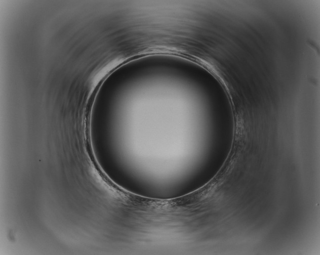 X0000100951003200806241459