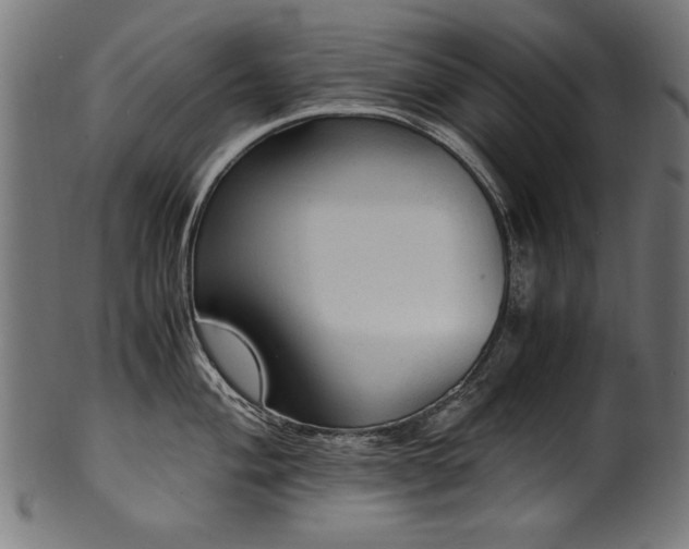 X0000100951004200806241459