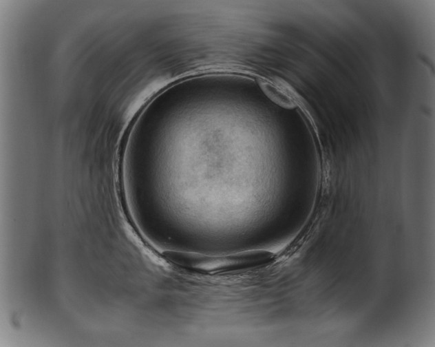 X0000100951005200806241459