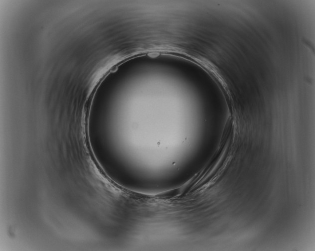 X0000100951006200806241459