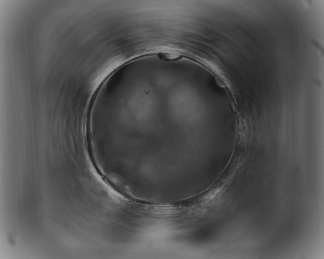 X0000100951007200806241459