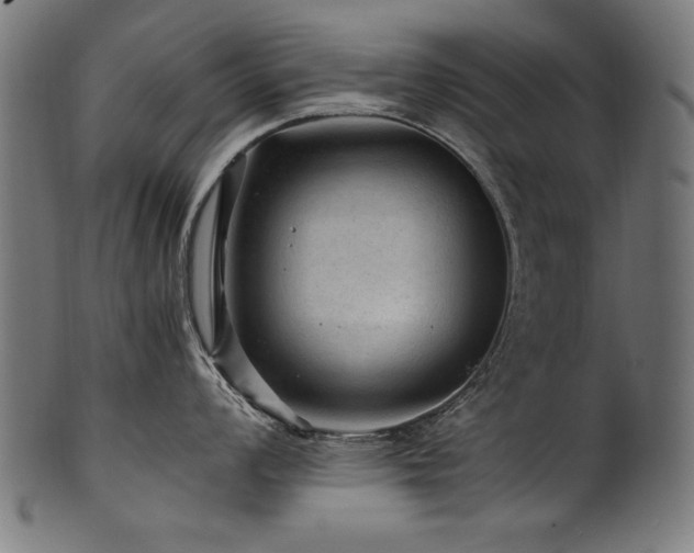 X0000100951008200806241459