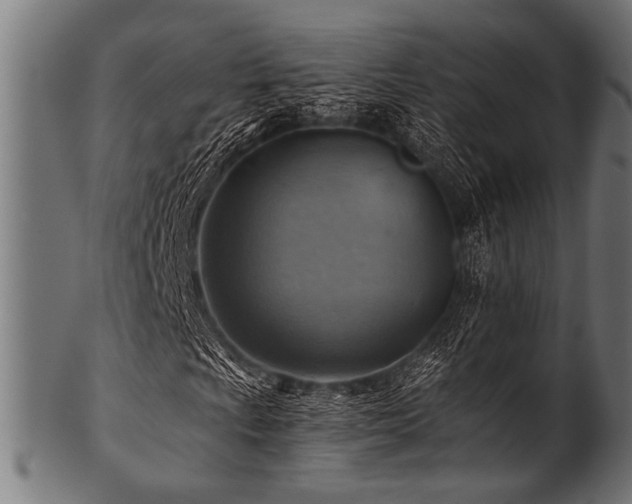 X0000100951009200806241458