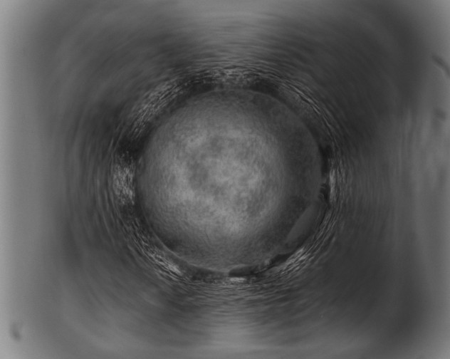 X0000100951010200806241458
