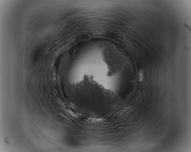 X0000100951011200806241458