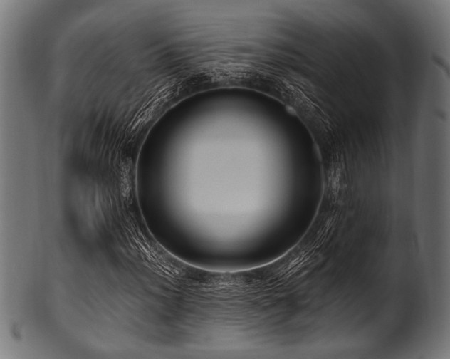 X0000100951012200806241458