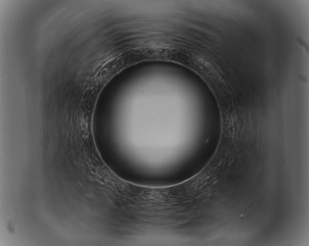 X0000100951013200806241458