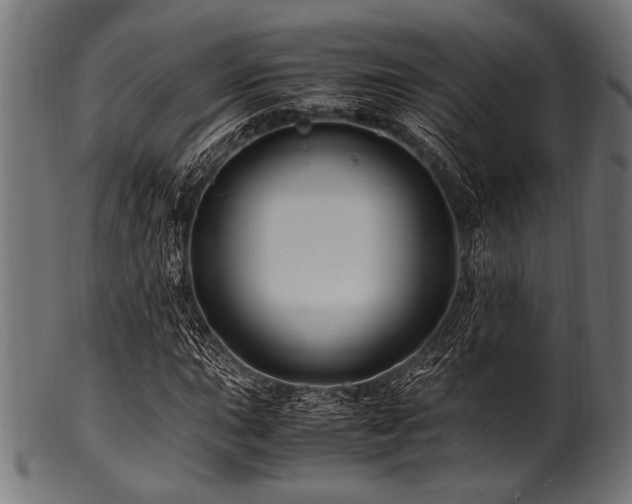 X0000100951015200806241458