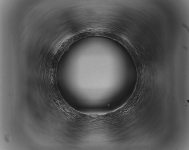 X0000100951016200806241458