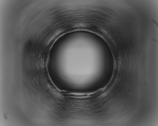 X0000100951017200806241458